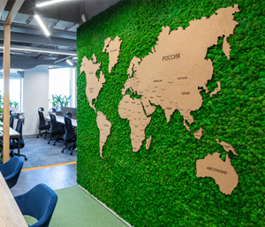 Преимущества озеленения офисных помещений с помощью стабилизированного мха