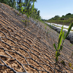 Защищаем склоны от эрозии: сравнение геоматов, биоматов и георешёток