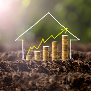 Стоит ли покупать землю на старте продаж посёлка: плюсы и возможные риски