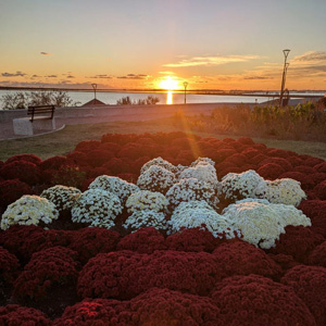 Саки – уникальный город-курорт между целебными озёрами и Чёрным морем