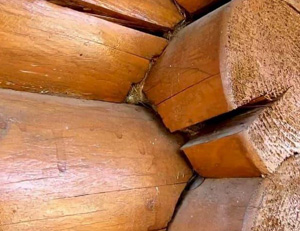 Как вода может разрушить деревянный дом