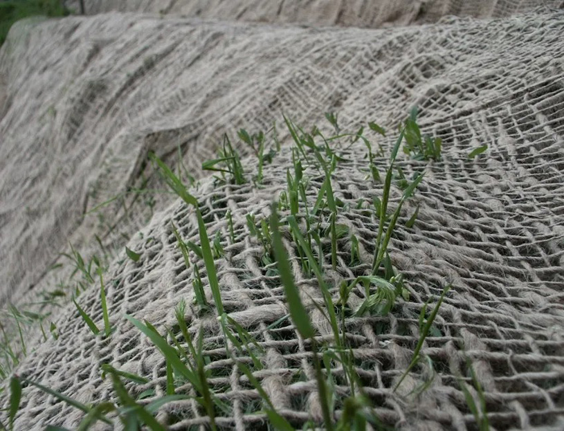 Биоматы (биосетки)