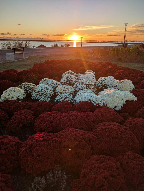 Набережная в г. Саки. Фото: Роберт Зуфарович