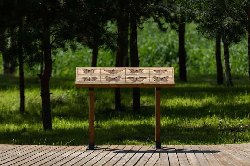 Дидактические стенды в парке «Приморский» города Сосновый Бор, Ленинградская область