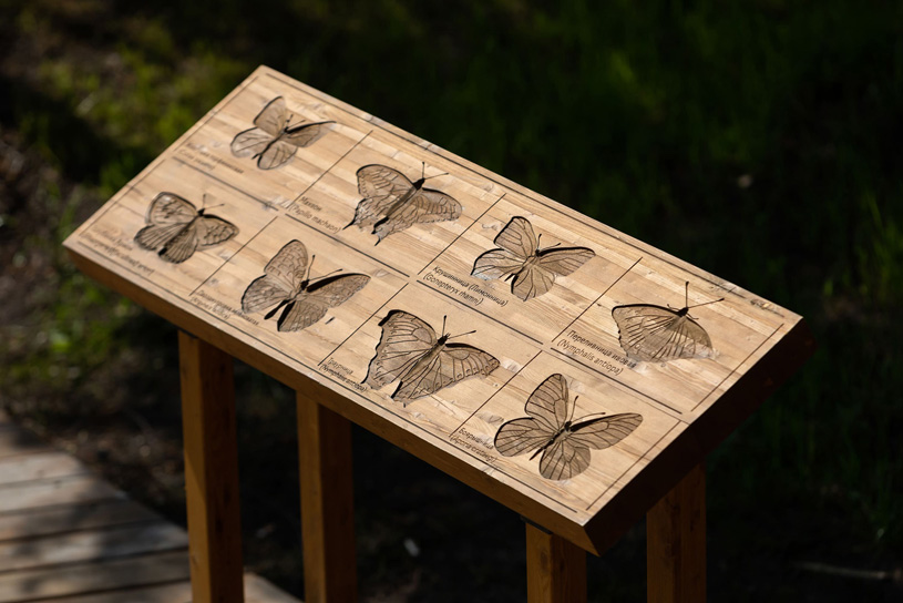 Дидактические стенды в парке «Приморский» города Сосновый Бор, Ленинградская область