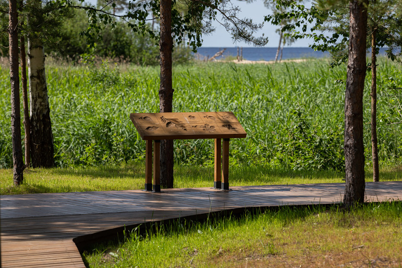 Дидактические стенды в парке «Приморский» города Сосновый Бор, Ленинградская область