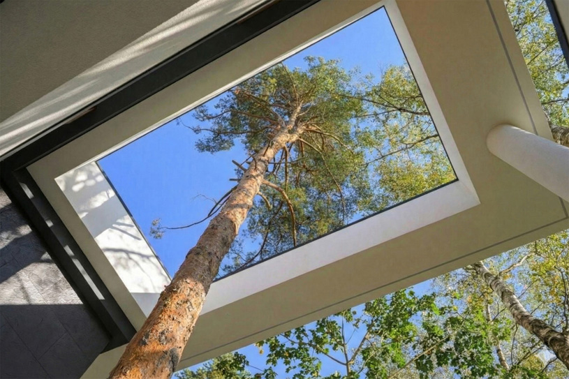 Резиденция в Веледниково. Автор: Фёдор Голиков (Архитектурное бюро Фёдора Голикова)