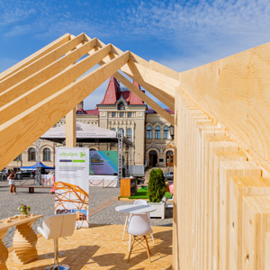 Итоги форума и смотра-конкурса «Дерево в архитектуре 2025»