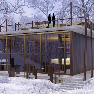 Проект загородного дома на одну семью | AEstudio