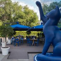 Кофейня Blue Cat в Алматы. Архитектурное бюро Archpoint