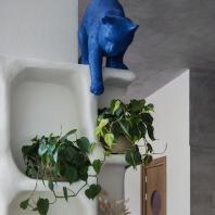 Кофейня Blue Cat в Алматы. Архитектурное бюро Archpoint