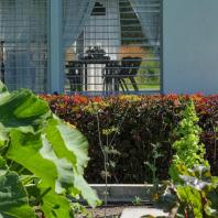 Частный сад «Современный минимализм» | Архитектурно-ландшафтное бюро GreenArt