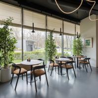Интерьер философского клуба и кафе Quercus / WA-project / Евгений Кашов
