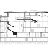 Школа на 825 мест в Гатчине: «Y-школа». Разрез | БалтИнвест-Проект