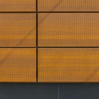 Школа на 825 мест в Гатчине: «Y-школа» | БалтИнвест-Проект