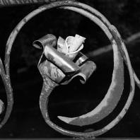 Полина Рукавичкина. Без названия, 2024. Фотография, пигментная печать. Предоставлено автором