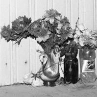 Полина Рукавичкина. Без названия, 2024. Фотография, пигментная печать. Предоставлено автором