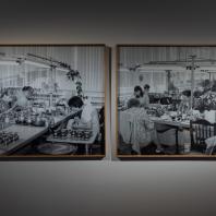 Выставка «Цветок осенний. Вадим Сидур | Полина Рукавичкина» в ММОМА. Фотограф: Виктор Березкин